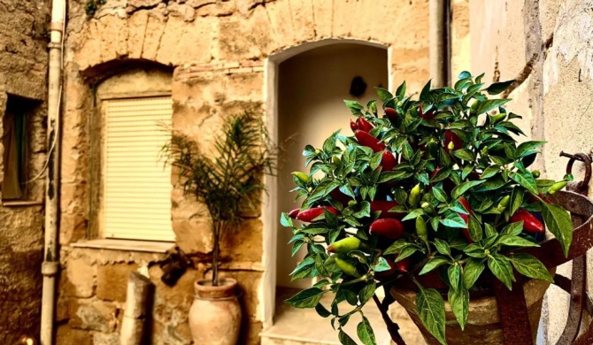 Il Vecchio Cortile