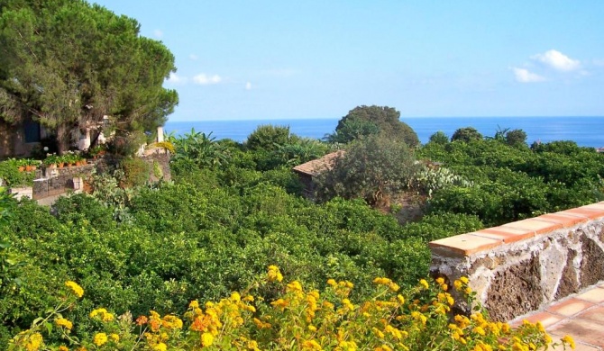 Il Limoneto Acireale