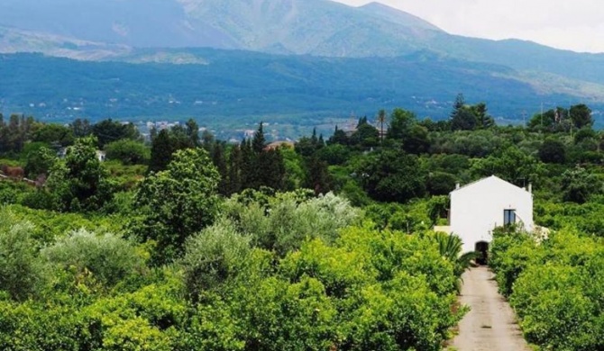 Palmento Etna Sicilia