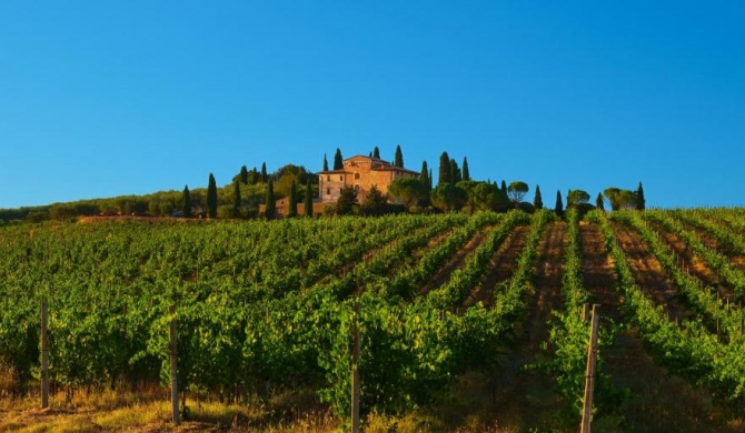 Agriturismo La Torre dell'Oliveto